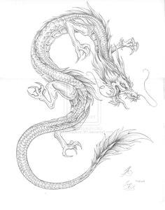 236x301 drawings of oriental dragons troller us - Japanese Dragon Line Drawing