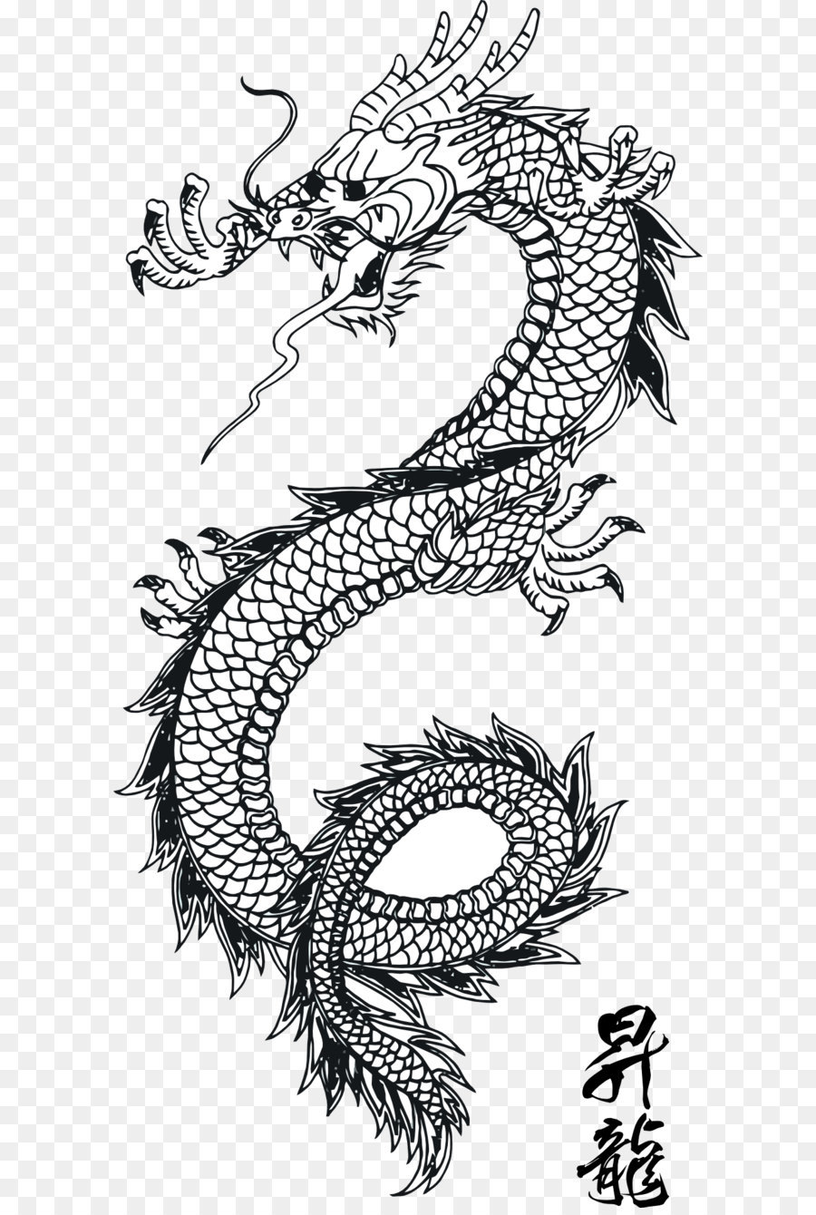 Japanese Dragon Line Drawing at PaintingValley.com | Explore collection ...