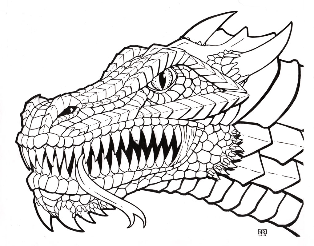 1020x800 Huge Collection Of 'line Drawing Of Dragons' Download More Than - Japanese Dragon Line Drawing