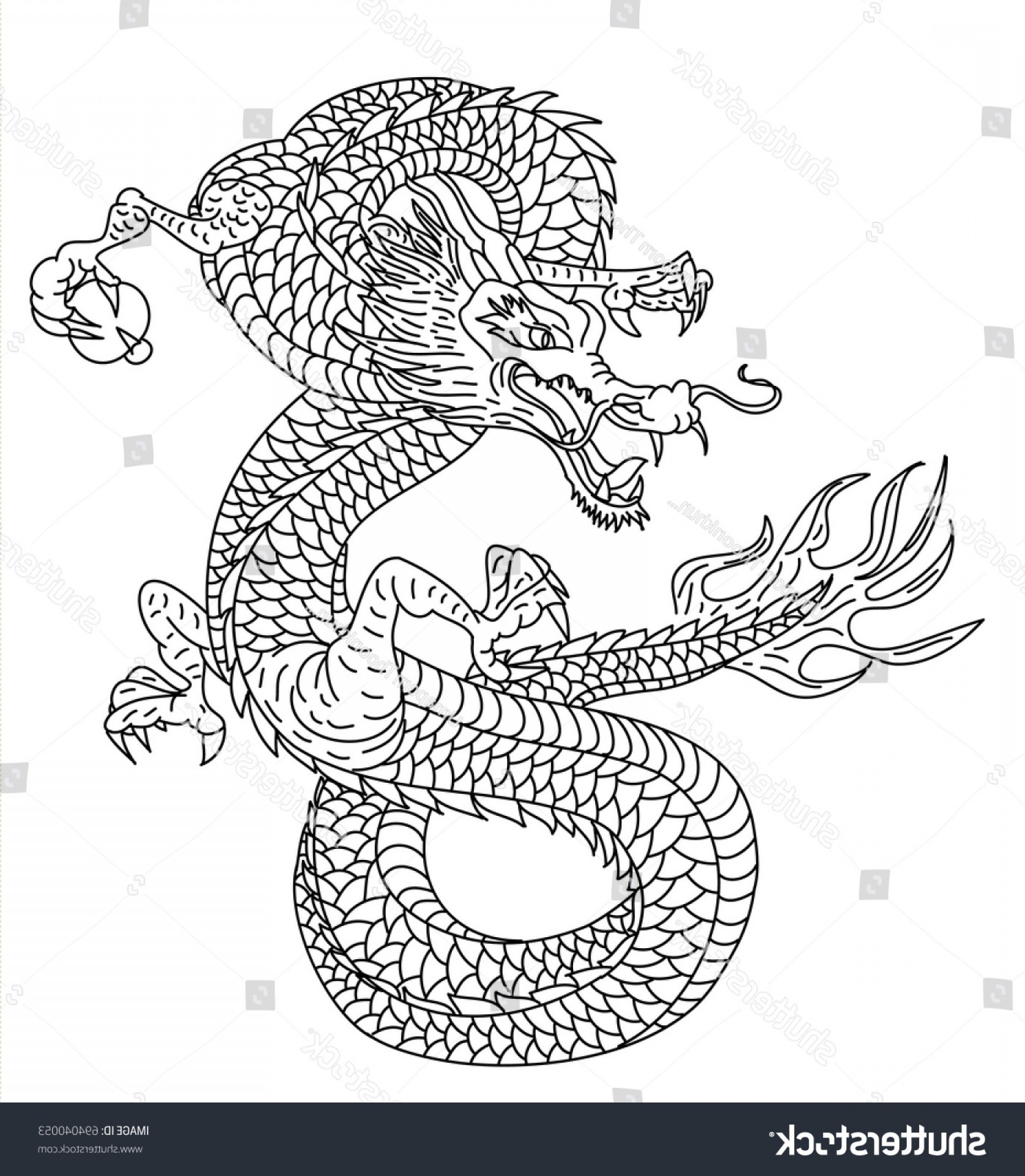 Japanese Dragon Line Drawing at PaintingValley.com | Explore collection ...