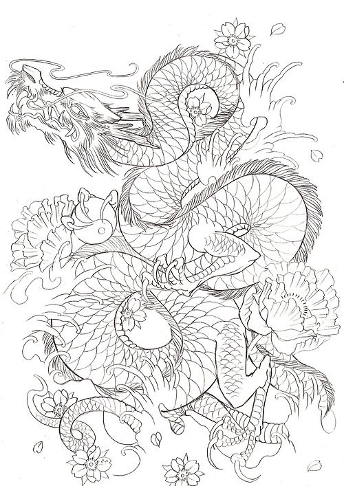 Japanese Dragon Line Drawing at PaintingValley.com | Explore collection ...