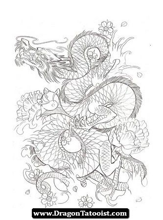 333x450 Japanese Dragon Tattoos Designs - Japanese Dragon Tattoo Drawing