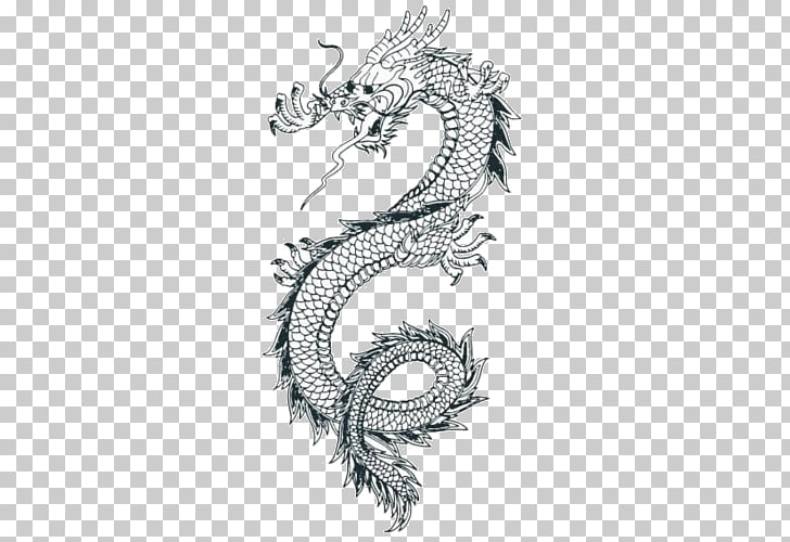 728x500 China Japanese Dragon Chinese Dragon Drawing, Temporary Tattoos - Japanese Dragon Tattoo Drawing