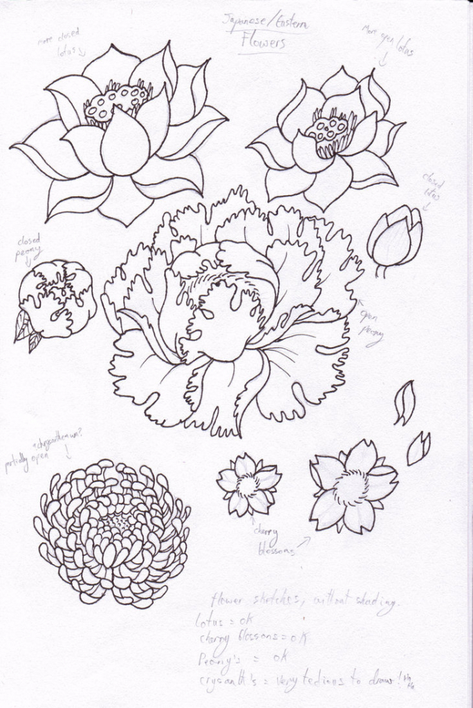 684x1024 Japanese Flower Drawing Styles Images About Flowers Pinteres - Japanese Drawing Styles