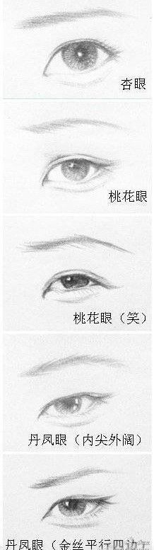 218x777 Japanese Eyes How To Draw Portrait For Beginners Augen - Japanese Eyes Drawing