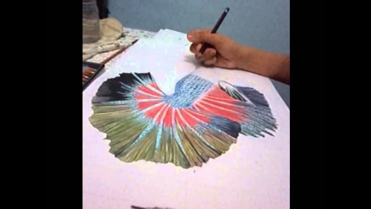 1280x720 Siamese Fighting Fish Speed Drawing - Japanese Fighting Fish Drawing