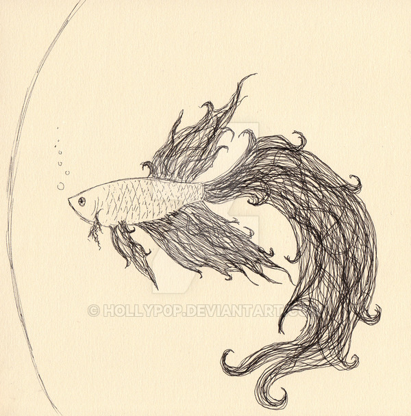 600x608 Fighting Fish Drawing - Japanese Fighting Fish Drawing