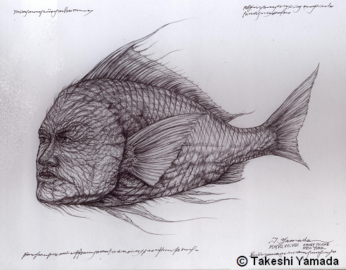491x383 paper for pen and ink drawing japanese human faced fish pen - Japanese Fish Drawing