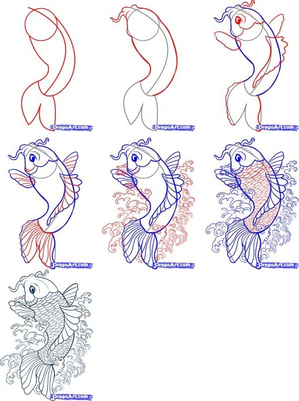 600x804 Posted In How To Draw Asian Fish How To Draw Japanese Fish - Japanese Fish Drawing