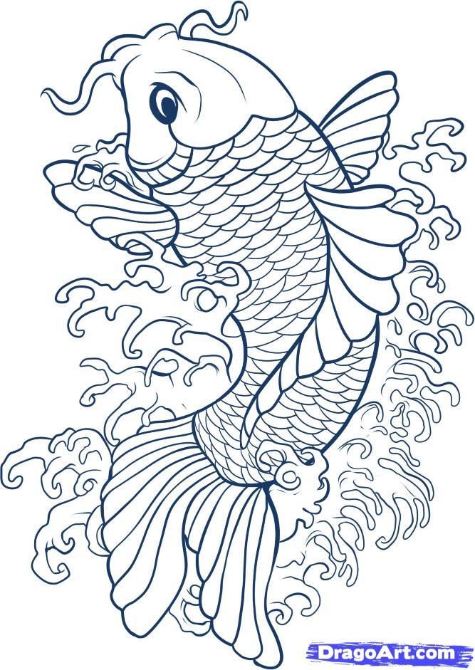 Japanese Fish Drawing At Paintingvalley Com Explore Collection