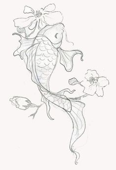 236x345 Koi Fish Drawings In Pencil - Japanese Fish Drawing