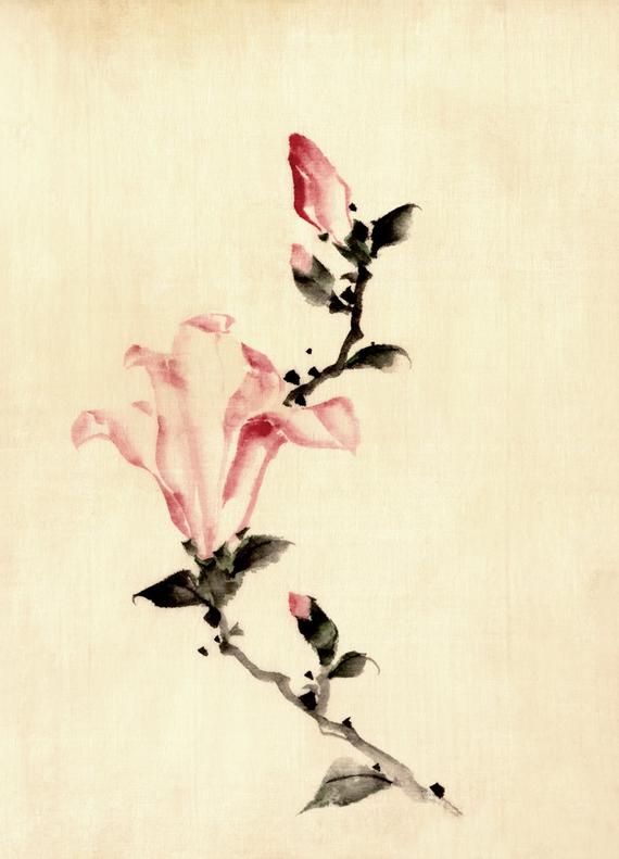 570x791 Japanese Art Pink Flower Drawing Hokusai Fine Art Print Etsy - Japanese Flower Drawing