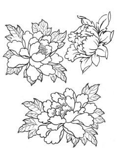 238x300 Japanese Tattoo Line Drawing - Japanese Flower Drawing