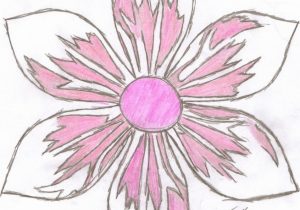 300x210 Japanese Flower Drawing - Japanese Flower Drawing Styles