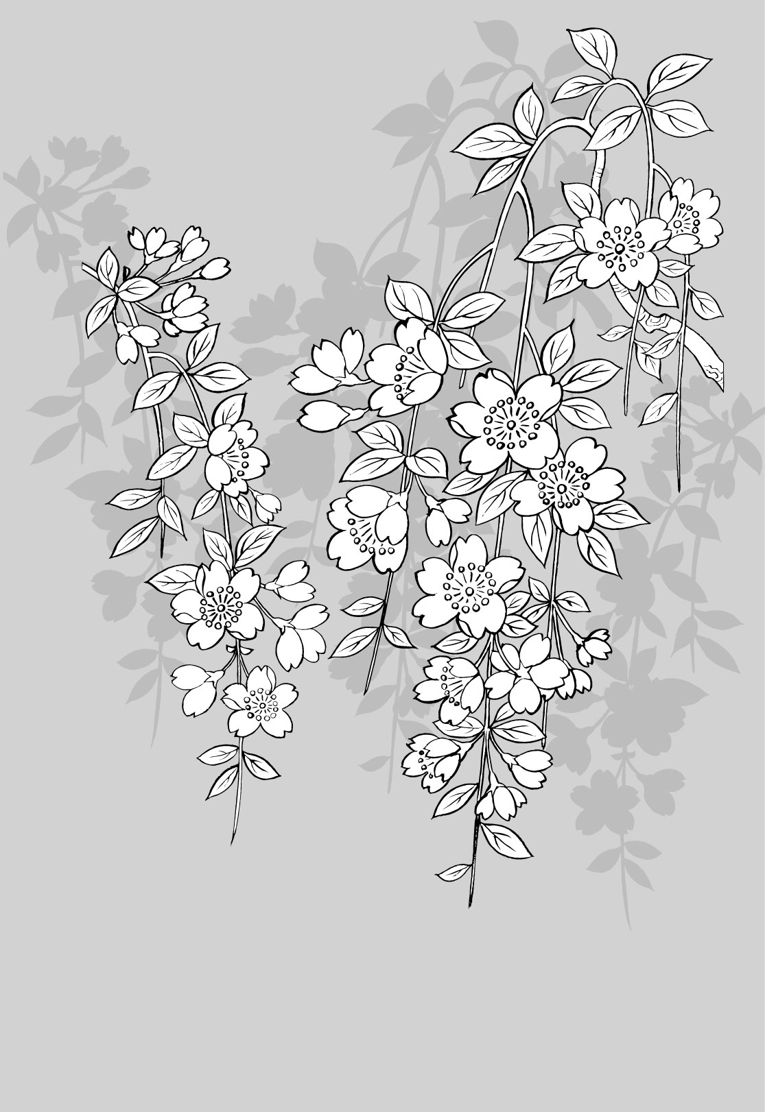 1115x1622 Japanese Flower Drawing Styles - Japanese Flower Drawing Styles