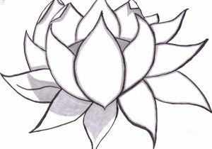 300x210 japanese flower drawing tutorial japanese flower drawing styles - Japanese Flower Drawing Styles