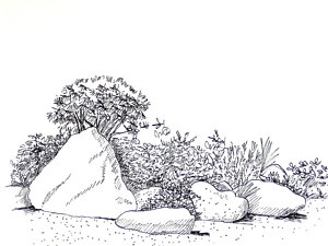 300x225 Japanese Garden Drawing - Japanese Garden Drawing