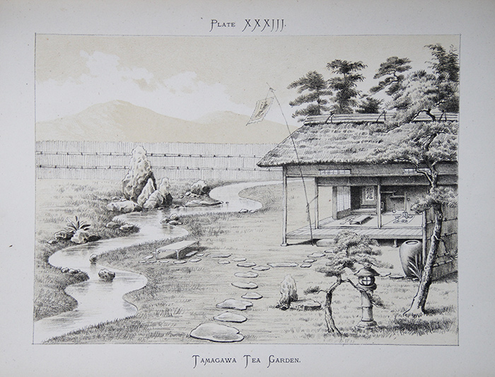 700x533 All The Tea In China - Japanese Garden Drawing