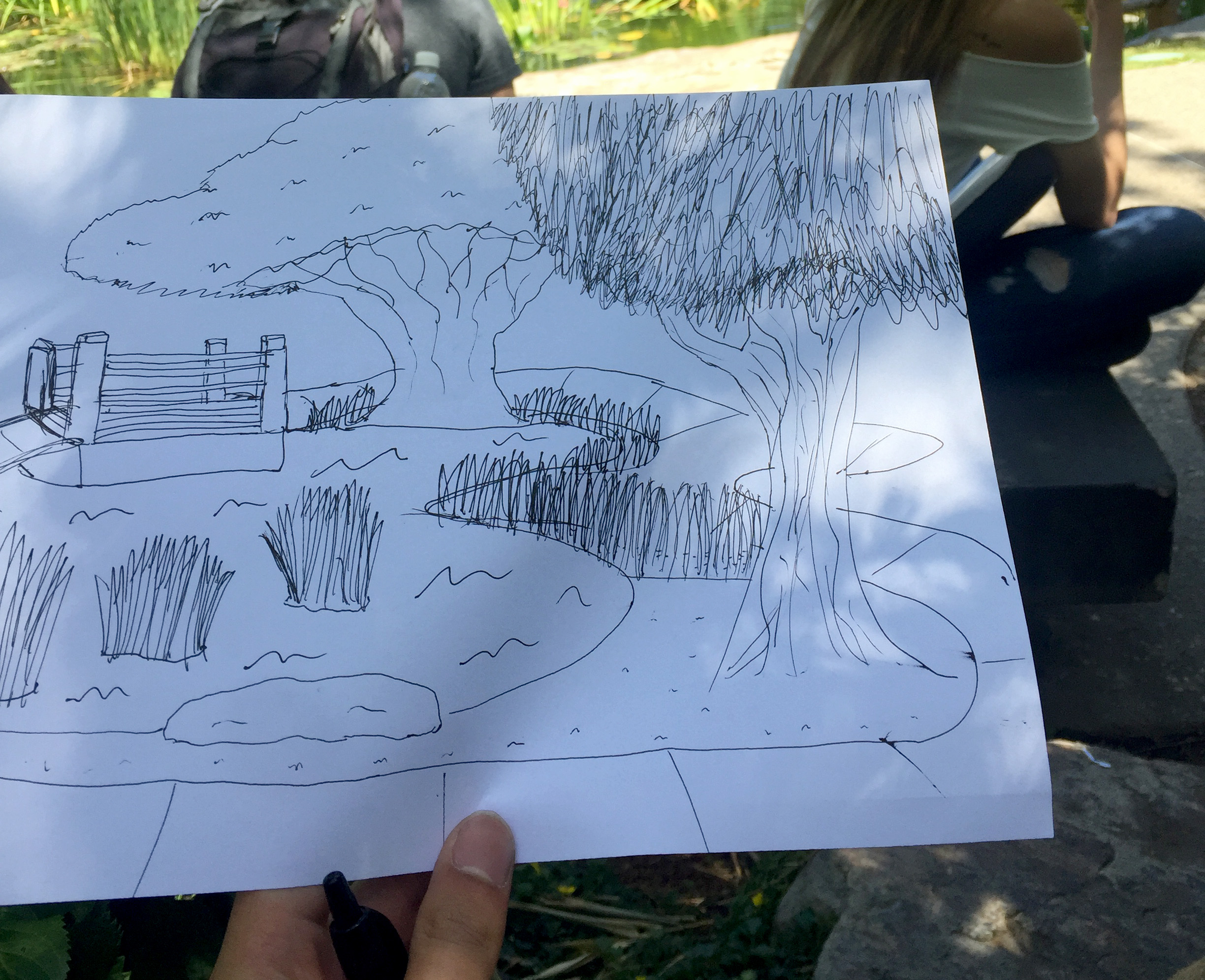 2448x1992 Sketching In The Csulb Japanese Garden - Japanese Garden Drawing