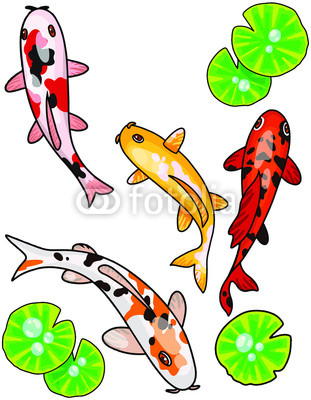 311x400 Hand Drawn Cartoony Koi Fish Vector Illustration Japanese Carp - Japanese Goldfish Drawing
