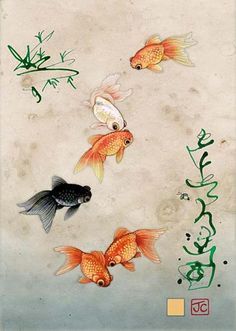 236x331 image result for japanese goldfish tattoo sleeve - Japanese Goldfish Drawing