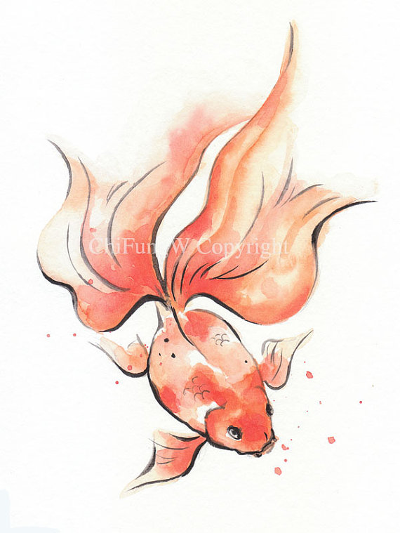 570x759 japanese, japanese type watercolor, fish, gold fish, sumie - Japanese Goldfish Drawing