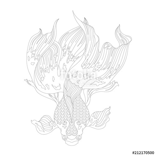 500x500 japanese goldfish adult coloring - Japanese Goldfish Drawing