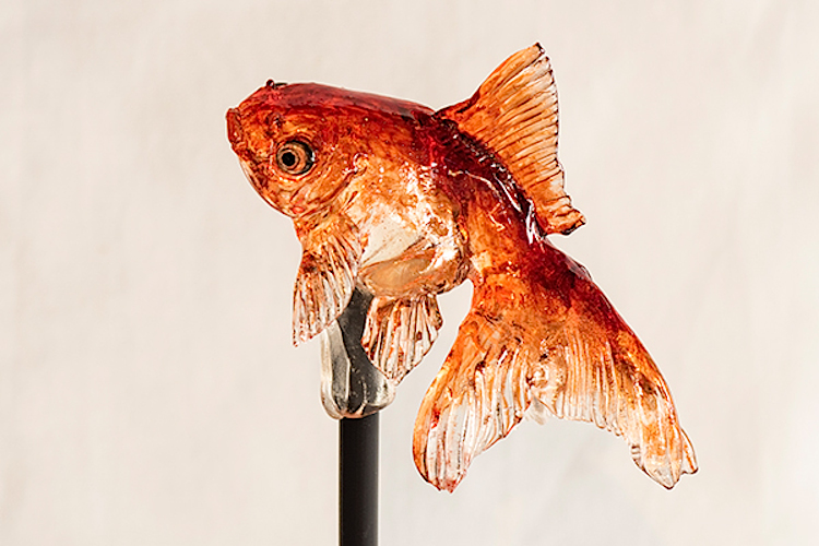 750x500 this goldfish is edible! find out all about this traditional - Japanese Goldfish Drawing