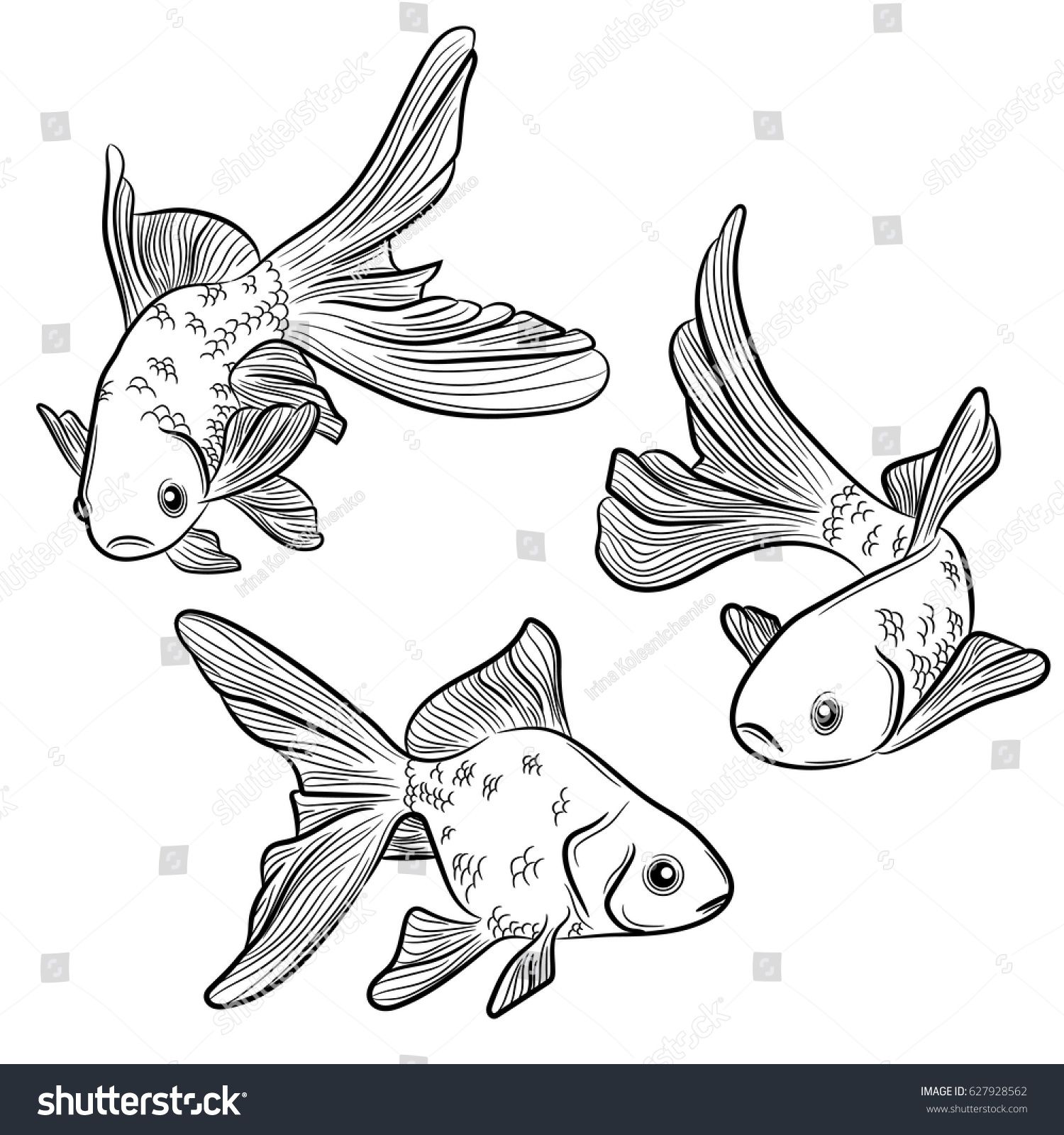 1500x1600 goldfish drawing art - Japanese Goldfish Drawing