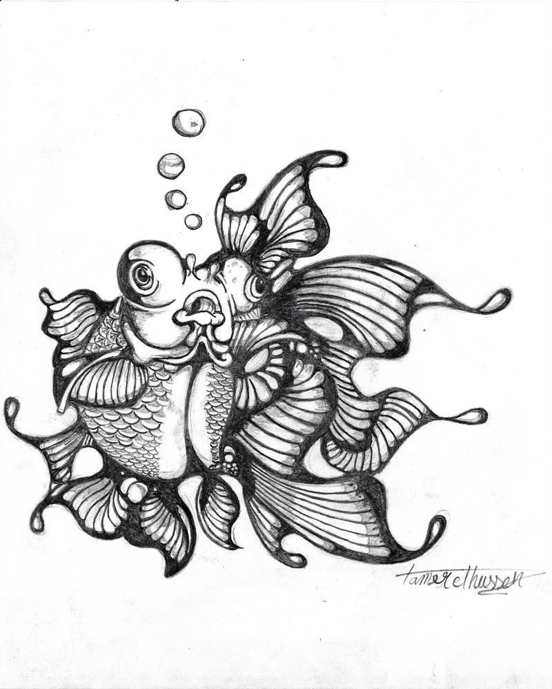 800x998 japanese goldfish - Japanese Goldfish Drawing