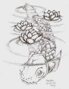Japanese Koi Drawing
