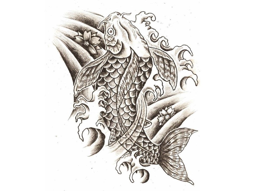 1024x768 japanese koi fish tattoo designs japanese koi fish tattoo drawing - Japanese Koi Drawing