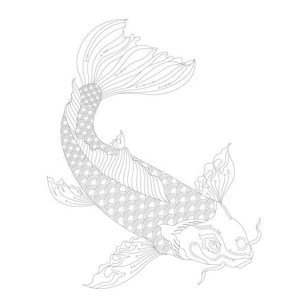 626x626 Koi Vectors, Photos And Free Download - Japanese Koi Drawing