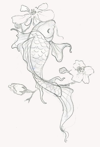 Japanese Koi Fish Drawing