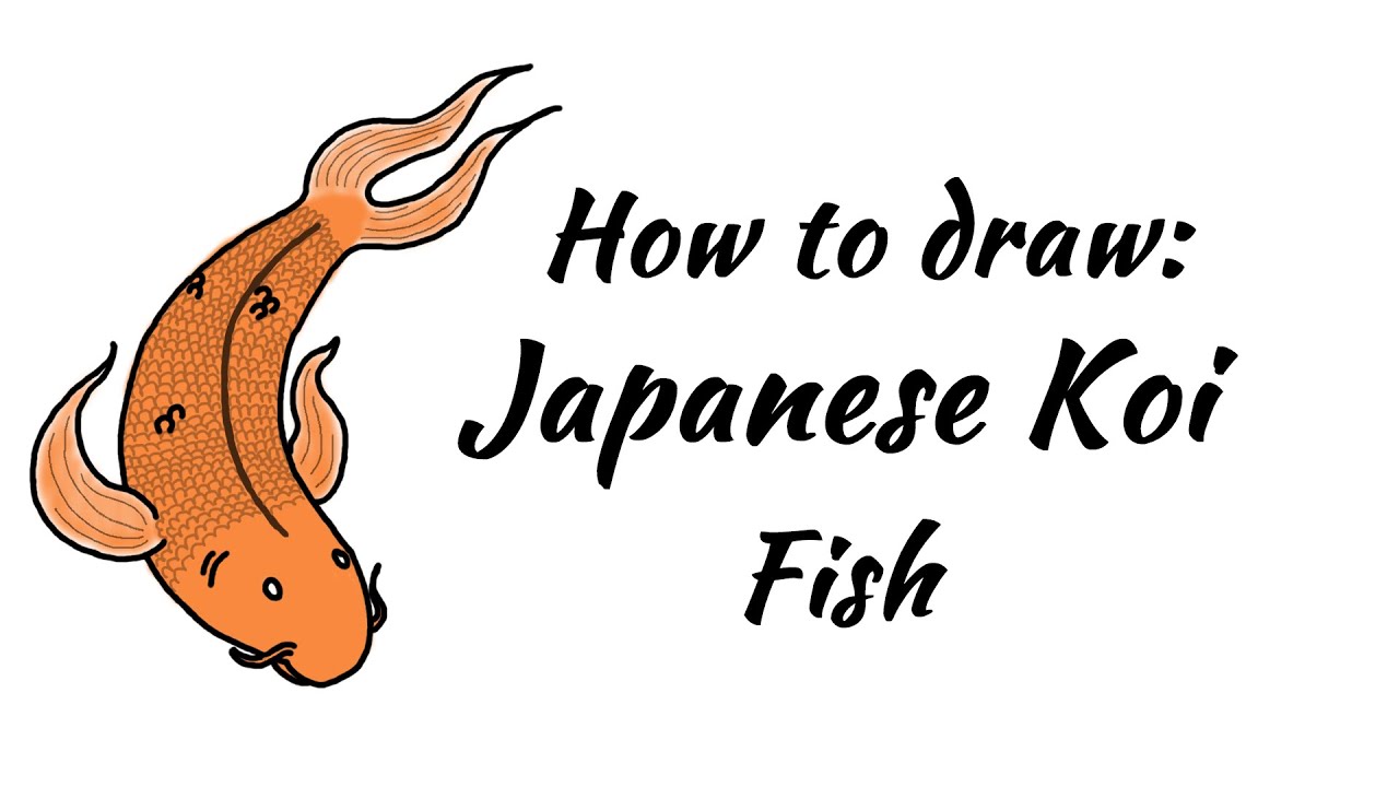 1280x720 How To Draw A Japanese Koi Fish - Japanese Koi Fish Drawing