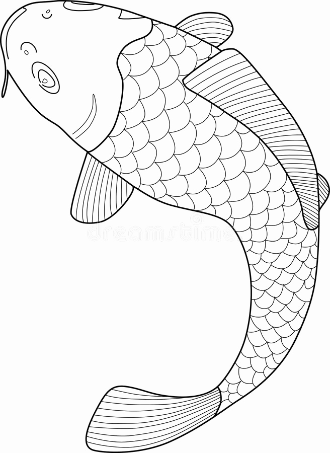 656x900 Japanese Koi Fish Coloring Pages Awesome Beautiful Fish Drawing - Japanese Koi Fish Drawing