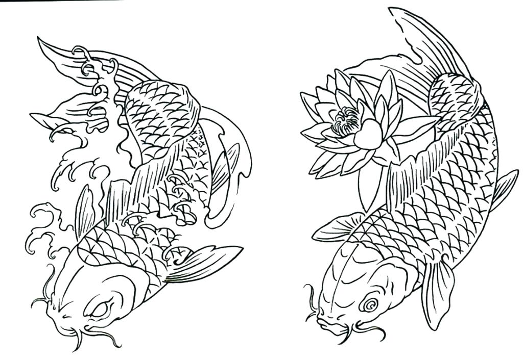 1024x706 Koi Fish Coloring Pages Free Printable Realistic Coy Drawing Easy - Japanese Koi Fish Drawing