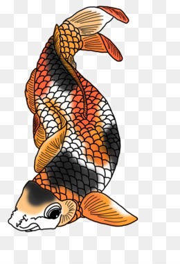 260x380 Koi Fish Png - Japanese Koi Fish Drawing