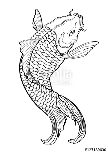 354x500 Vector Illustration Graphic Background Koi Fish Tattoo Japanese - Japanese Koi Fish Drawing