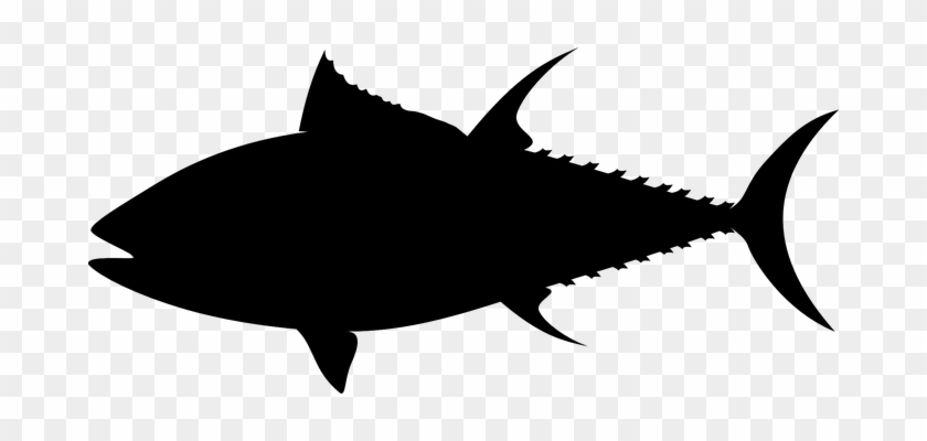 840x400 Free Japanese Koi Fish Drawings Download - Japanese Koi Fish Drawing