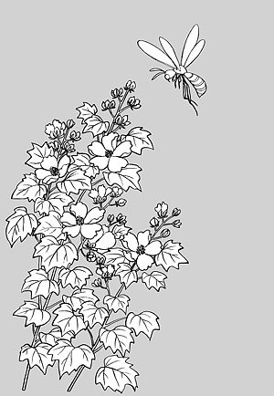 300x434 Free Japanese Line Drawing Of Plant Flowers Vector Material - Japanese Line Drawing