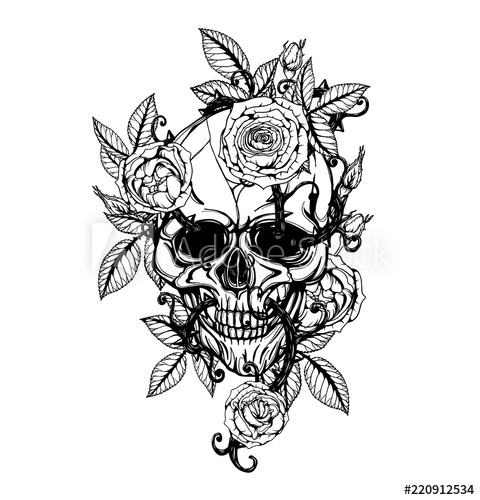 480x500 Skull With Centifolia Roses Tattoo - Japanese Line Drawing