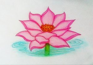 300x210 drawing lotus flowers japanese lotus flower tattoo designs flowers - Japanese Lotus Drawing