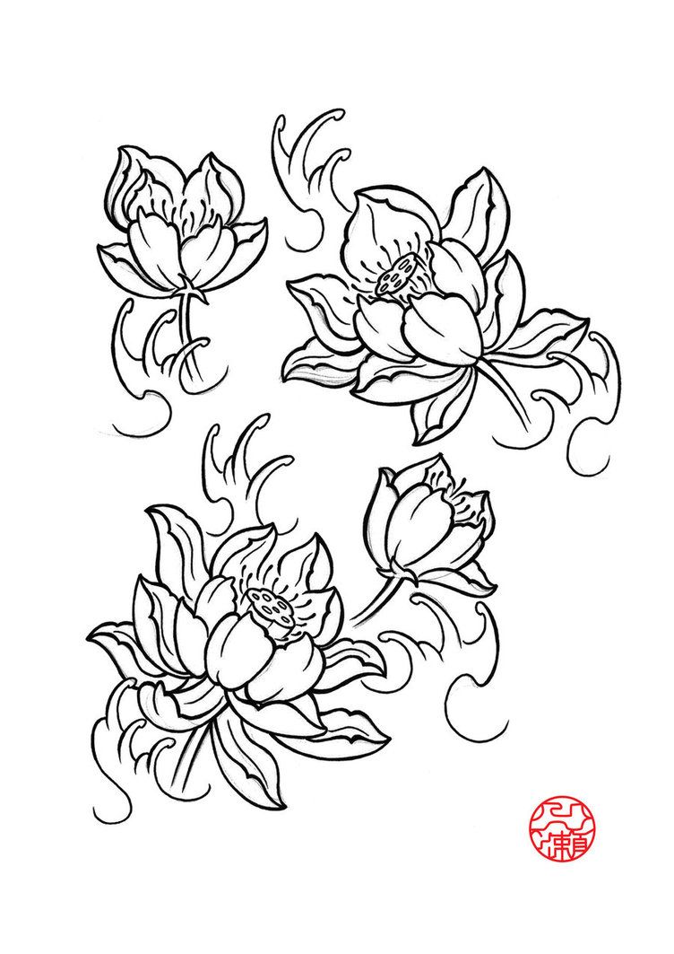 752x1063 Japanese Lotus Tattoo Design Creative Commons Attribution - Japanese Lotus Drawing