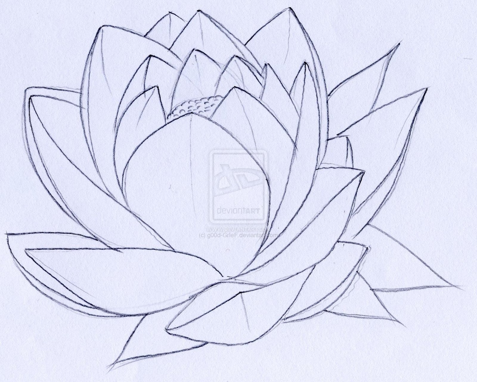 1600x1282 Lotus Flower Tattoo Drawing Tattoo Ideas - Japanese Lotus Drawing