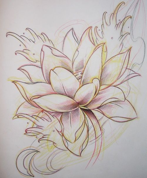 500x603 Lotus Flower I Did - Japanese Lotus Drawing