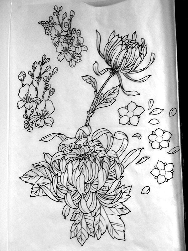 600x800 Lotus Flower Drawings For Tattoos Shape Shuhamis Tattoo News - Japanese Lotus Drawing