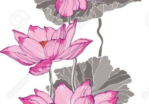 300x210 chinese lotus flower drawing japanese lotus flower drawing - Japanese Lotus Drawing