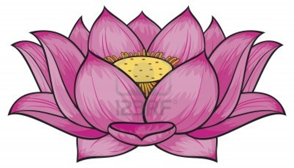1200x687 chinese lotus flower drawing and chinese lotus flower drawing - Japanese Lotus Drawing