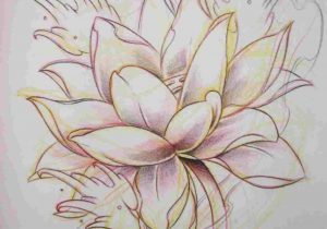 300x210 Japanese Lotus Flower Tattoo Drawing - Japanese Lotus Flower Drawing